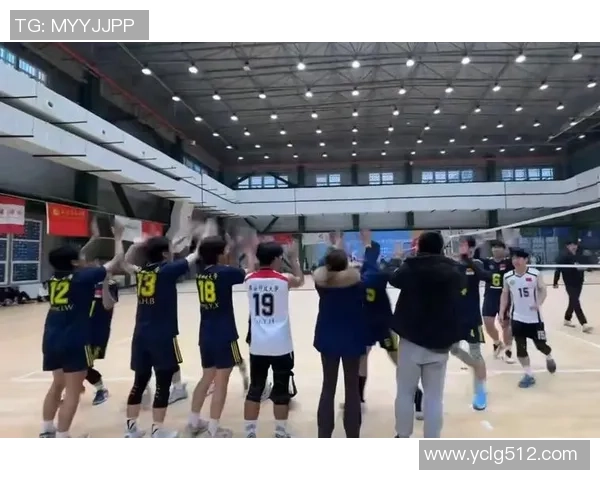 武汉排球队个人能力引发热议球员表现与团队协作的辩论